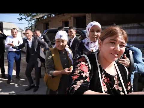 Видео: 09,10,2023 Загс кэнже