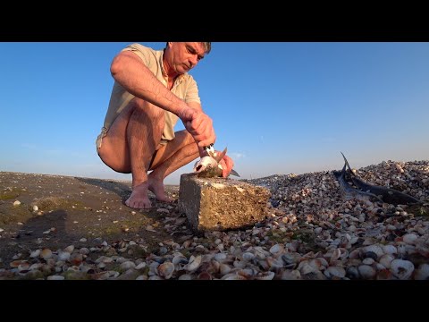 Видео: ПО. Формула1 и охота на футбольном поле.