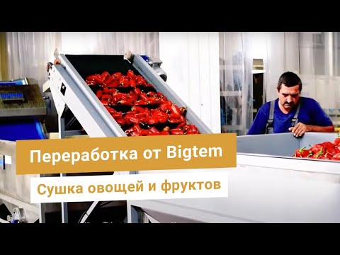 Видео: Линия переработки овощей от Bigtem. Мойка, чистка, нарезка, сушка, упаковка перца, лука, моркови.