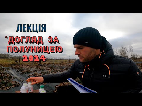 Видео: Весна,Літо,Осінь-Чим і Коли її Обробляти?Як Правильно Доглядати за Полуницею Весь СЕЗОН?