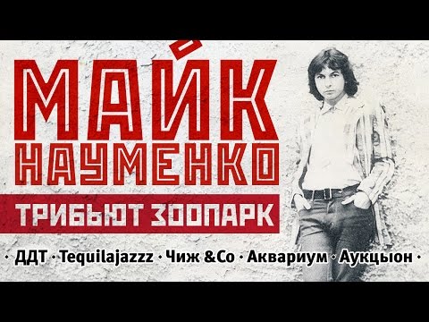 Видео: МАЙК НАУМЕНКО - ТРИБЬЮТ - ЗООПАРК - ДДТ- АКВАРИУМ-ЧИЖ-АУКЦИОН