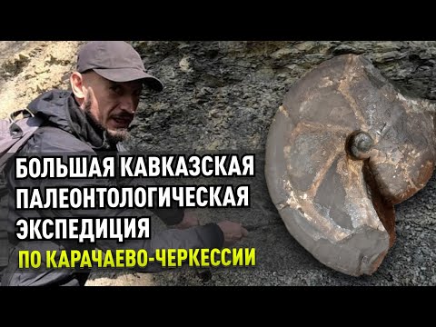 Видео: Палеонтологи в Карачаево-Черкессии. Большая экспедиция за аммонитами по Северному Кавказу