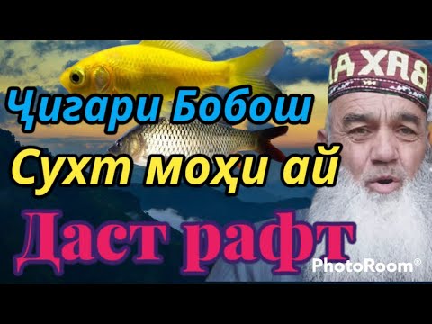 Видео: Сабаби моҳи калон нашудан.
