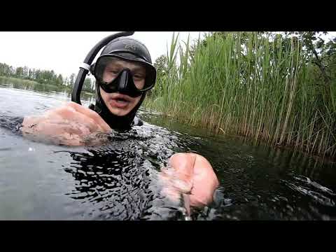 Видео: Подводная охота г.Владимир, карьера Улыбышево