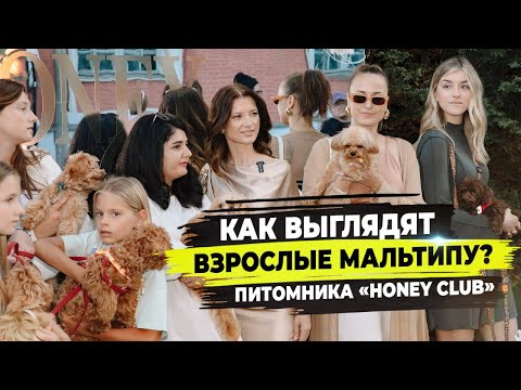 Видео: Встреча с выпускниками клуба мальтипу «Honey Club» на Aesthetic ONLY в Москве