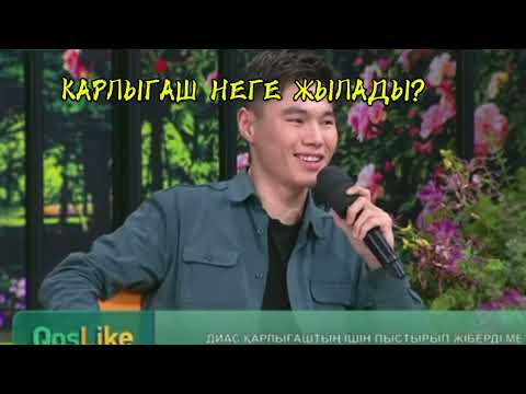 Видео: ДИАСТЫ ҚАРЛЫҒАШТАН АДЕЛЬ ҚЫЗҒАНЫП ОТЫРМА?