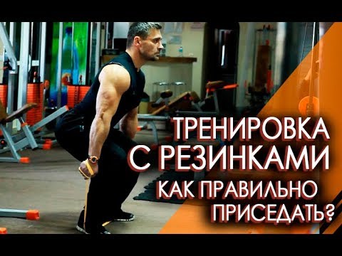 Видео: КАК ПРАВИЛЬНО ПРИСЕДАТЬ? ТРЕНИРОВКА С РЕЗИНКАМИ от Вячеслава Герасимова.