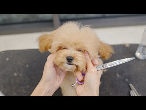 Видео: Ты такая красивая, когда смеешься.