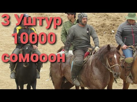 Видео: Баромади Хочи Хуршед Хол Машрабов Айнос 3 Шутур 10000 сомон