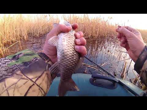 Видео: Весенний карась на боковой кивок.