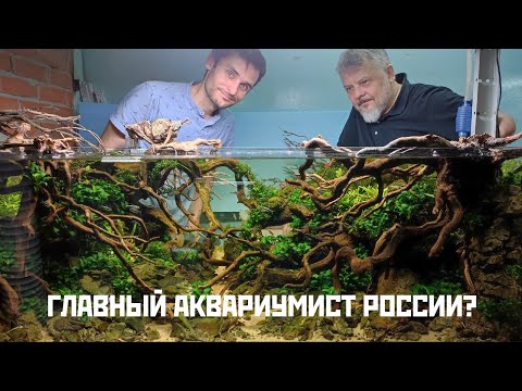Видео: Идеальные аквариумы Александра Малетина. Акваскейпы, растения и креветки из Сибири. Вдохновляйтесь!
