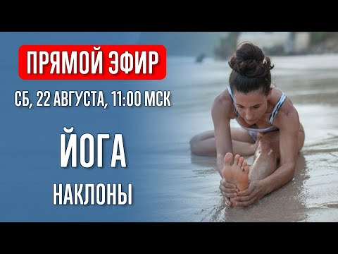 Видео: Наклоны. Йога в прямом эфире | Йога с Катрин | Прямой эфир