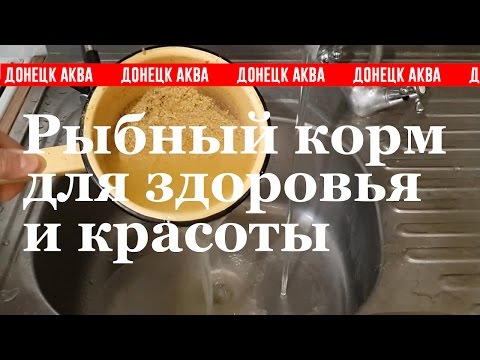 Видео: Amazing idea, Корм для рыб, How to make fish food, cómo hacer alimento para peces, 如何使魚飼料