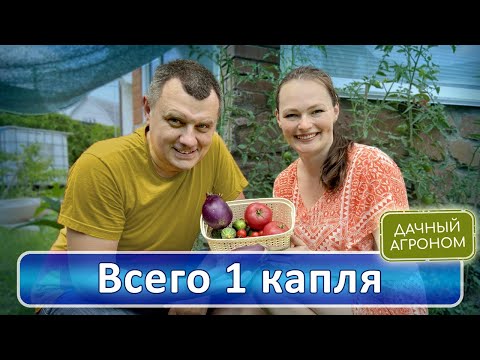 Видео: ХВАТИТ! Пора получить урожай, которого вы достойны!