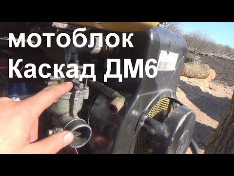 Видео: советское неудобное говно с легких обслуживанием ,мотор ДМ 6л/с