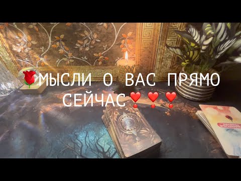 Видео: 13 ноября 2025 г.