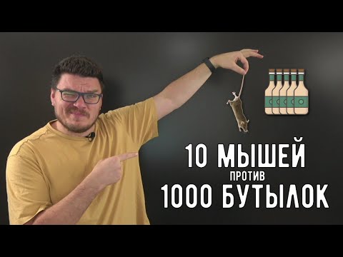 Видео: ✓ 10 мышей против 1000 бутылок | Ботай со мной #136 | Борис Трушин