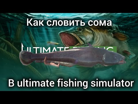 Видео: как словить сома в игре "ULTIMATE FISHING SIMULATOR"