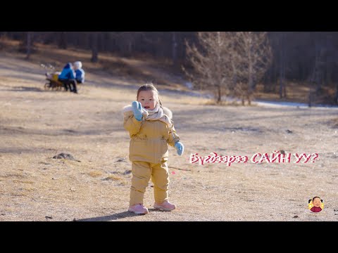 Видео: Гэгээлэнгийн Эгдүүтэй Дуулсан "Тэрбум Мод" 🌳