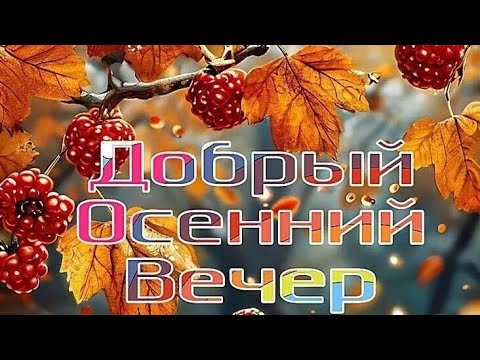 Видео: Пусть вечер будет Добрым 💙💜