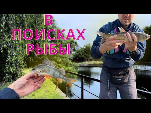 Видео: Рыбалка наугад по карте — там реально есть рыба?!