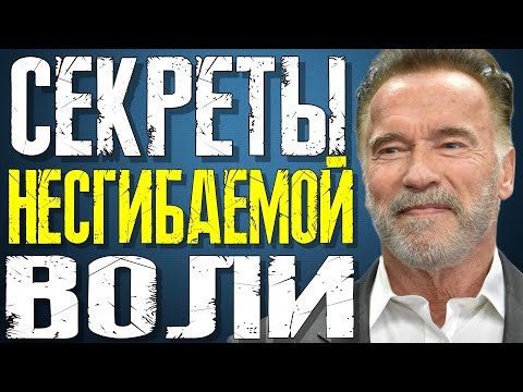 Видео: ЭТА РЕЧЬ АРНОЛЬДА ШВАРЦЕНЕГГЕРА ИЗМЕНИТ ВАШУ ЖИЗНЬ! Мотивация, которая взорвала интернет