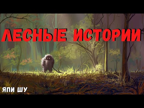 Видео: ЛЕСНЫЕ РАССКАЗЫ  | Страшные истории