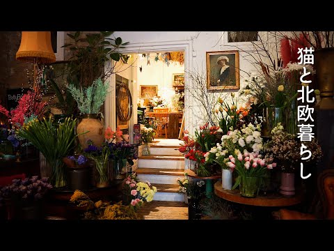 Видео: Скандинавская жизнь 🌿Послеобеденный чай Алиса в стране чудес и наслаждайтесь городом Лунд.