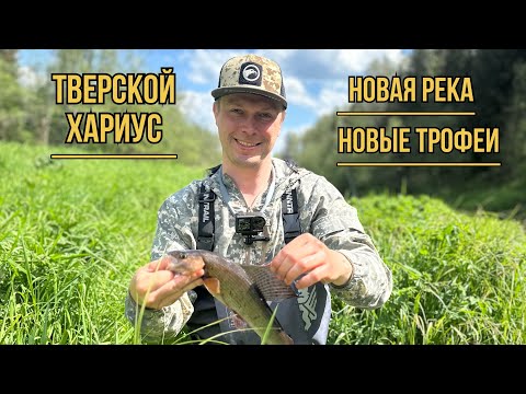Видео: Тверской Хариус. Новая река, новые трофеи!