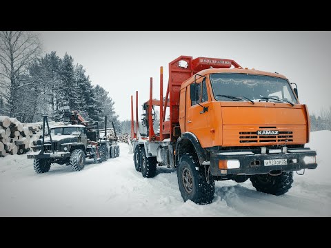 Видео: КАМАЗ 4310 и УРАЛ 4320 едут в делянку! Улетел в КЮВЕТ на лесовозе ! Работа в лесу