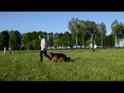 Видео: [Урок 8] Команда РЯДОМ: продолжаем отрабатывать