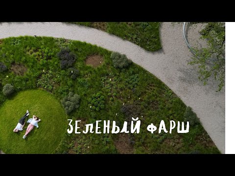 Видео: Зеленый фарш