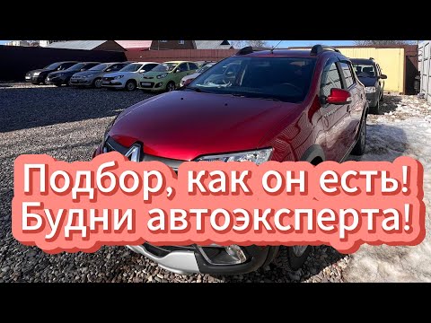 Видео: Будни автоподборщика! Поиск Renault Sandero.
