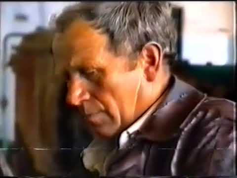 Видео: У нас в Токарівці