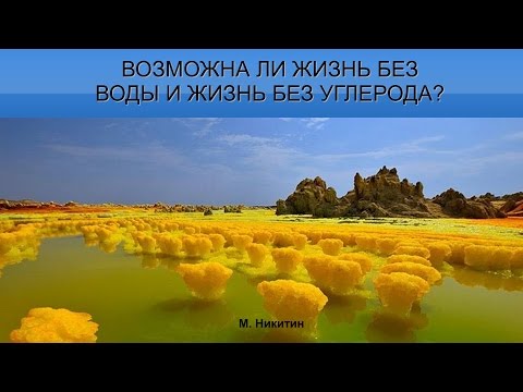 Видео: Михаил Никитин: Возможна ли жизнь на другой химической основе?