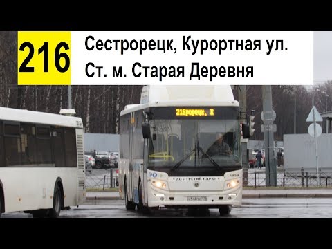 Видео: Автобус 216 "Ст. м. "Старая Деревня" - Сестрорецк, Курортная ул." (старая трасса)