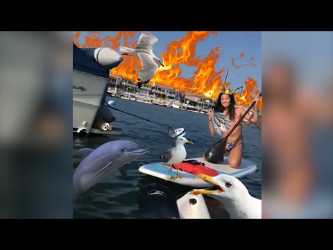 Видео: Подборка Лучших Роликов из Инстаграм #15