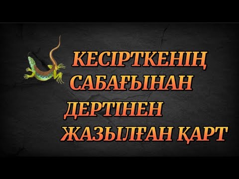 Видео: Кесірткенің сабағы (пайдалы әңгіме) Автор: Альтекова Гауһар #аудиокітап Әңгімелер