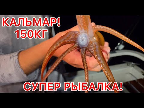 Видео: 150КГ КАЛЬМАРА ЗА 4 ЧАСА!!! ТАКОЙ РЫБАЛКИ Я НЕ ПОМНЮ!!!