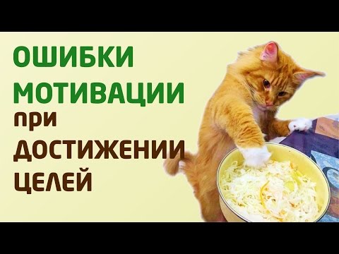 Видео: ТИПИЧНЫЕ ОШИБКИ МОТИВАЦИИ при ДОСТИЖЕНИИ ЦЕЛЕЙ, I-я часть