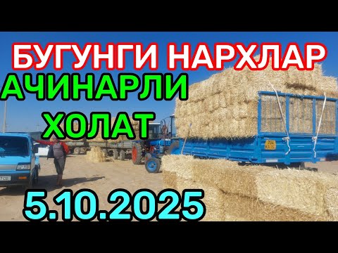 Видео: 5.10.2025 БУГДОЙ АРПА МАККА ЕМ ХАШАК СОМОН ТАРИХ БЕДА ПРЕСС НАРХЛАРИ КАРШИ КАРВОН МОЛ БОЗОРИДА 