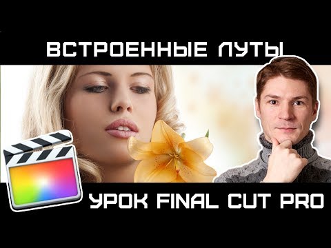 Видео: ПРИМЕНЕНИЕ ВСТРОЕННЫХ LUTS без плагинов в Final Cut. Как применить технические луты в Final Cut