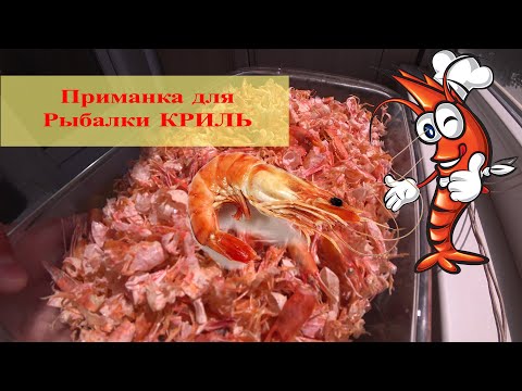 Видео: для уловистой РЫБАЛКИ "МУКА КРЕВЕТКИ" в домашних условиях КРИЛЬ!!!