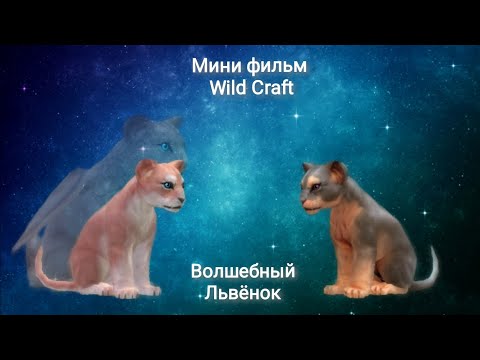 Видео: мини фильм "Волшебный львёнок"