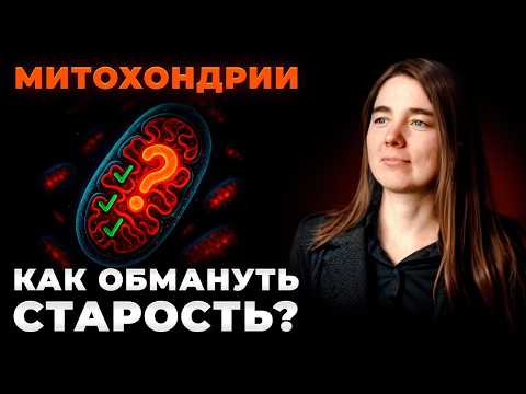 Видео: Нет сил и энергии? Чувствуешь усталость? МИТОХОНДРИИ - причина!