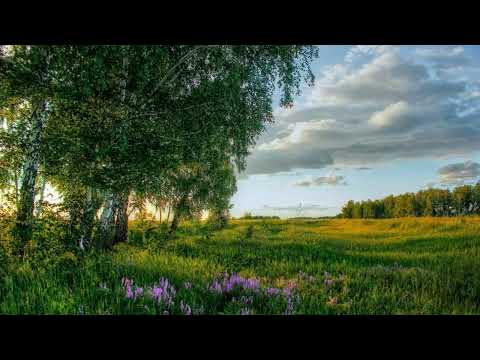 Видео: бутырка - халдей (slowed + reverb)