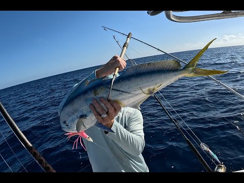 Видео: Приземляющийся монстр-махи: Эта охота стала настоящим испытанием для всех моих навыков управления...