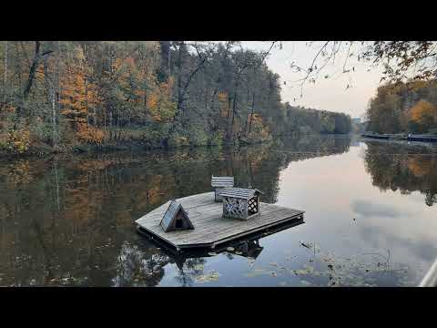 Видео: Мгновения осени 🍂 🍁#autumn  #nature  #beautiful #positivity #relax  #настроениеосень  
