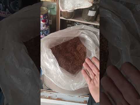 Видео: Сахар и солодка для ферментации. 