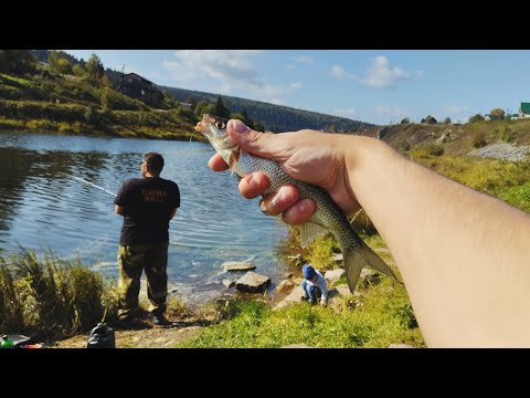 Видео: Выезд на Ельца, Голавля и Уклейку